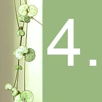 The heart-shaped leaves of an indoor plant and the number 4 against a green background.