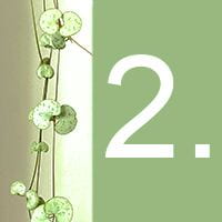 The heart-shaped leaves of an indoor plant and the number 2 against a green background.