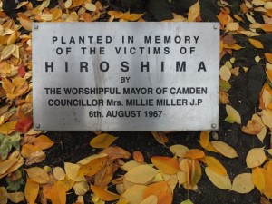 Plaque in Tavistock Square at the foot of a cherry tree planted in 1967 in memory of the victims of the nuclear bombing of Hiroshima. 