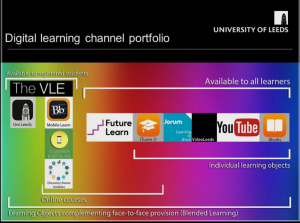 The University of Leeds Digital Learning Portfolio outlining who sees which platform. 