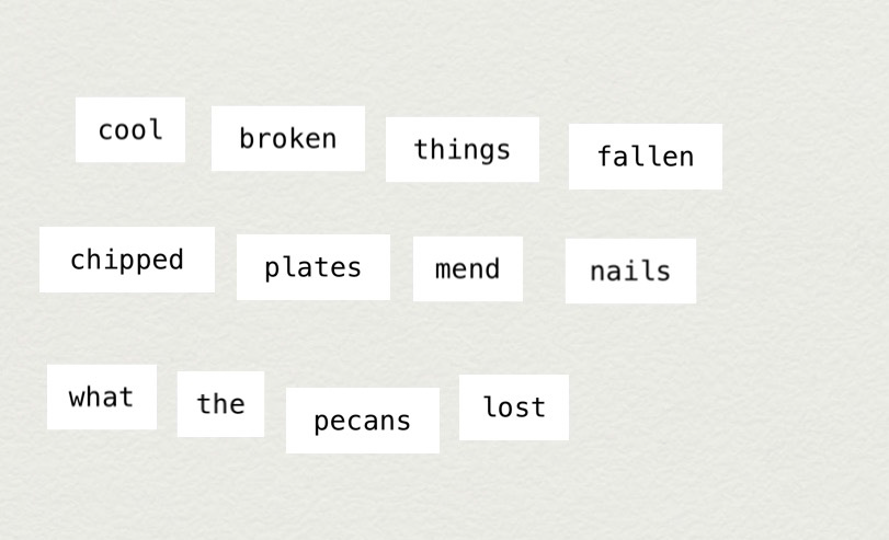 MakeWrite text: cool broken things fallen / chipped plates mend nails / what the pecans lost