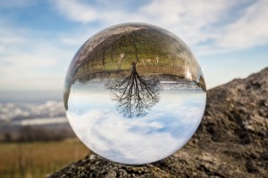 Looking into the Crystal Ball, what do we see?