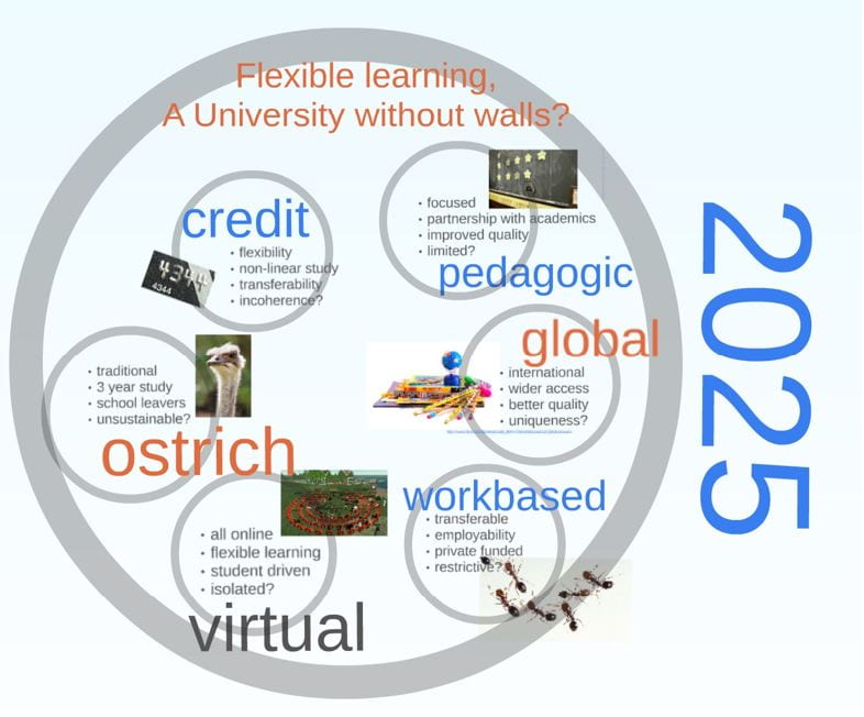 Predictions of 2025 made in 2010 - flexible learning, a university without walls?