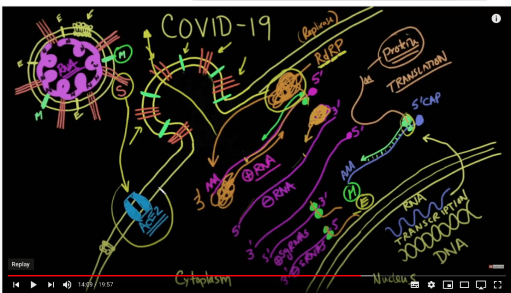 Covid Graphic of Covid Explained on Med Cram 