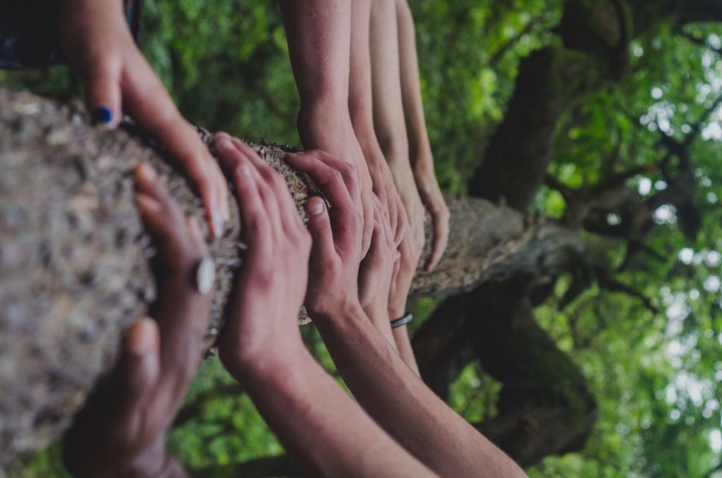 hands laid across a tree trunk