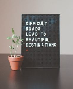 A picture of a plant and a sign which reads "difficult roads lead to beautiful destinations".