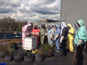bee team around hive