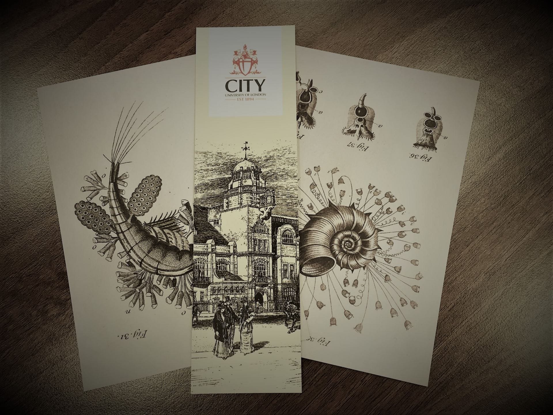 Image of postcards and a bookmark featuring images from the Archive