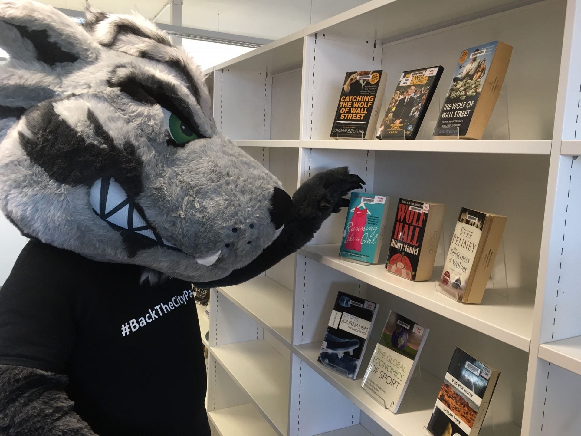 Image of CityWolf looking at books on Wolf-themed topics, e.g. Wolf Hall