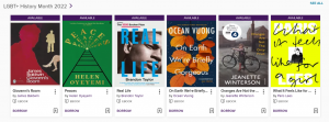 A screenshot of a fragment of LGBT+ e-books collection on Overdrive