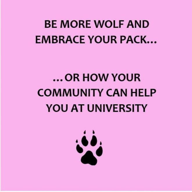 Be more wolf. Or how your community can help you at university. Wolf paw.